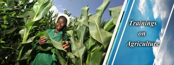 Sammyrrh Agro International Ltd