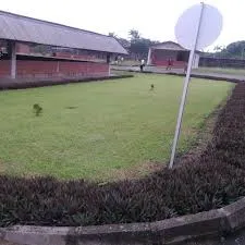 Samo4sure's Landscape and Horticulture