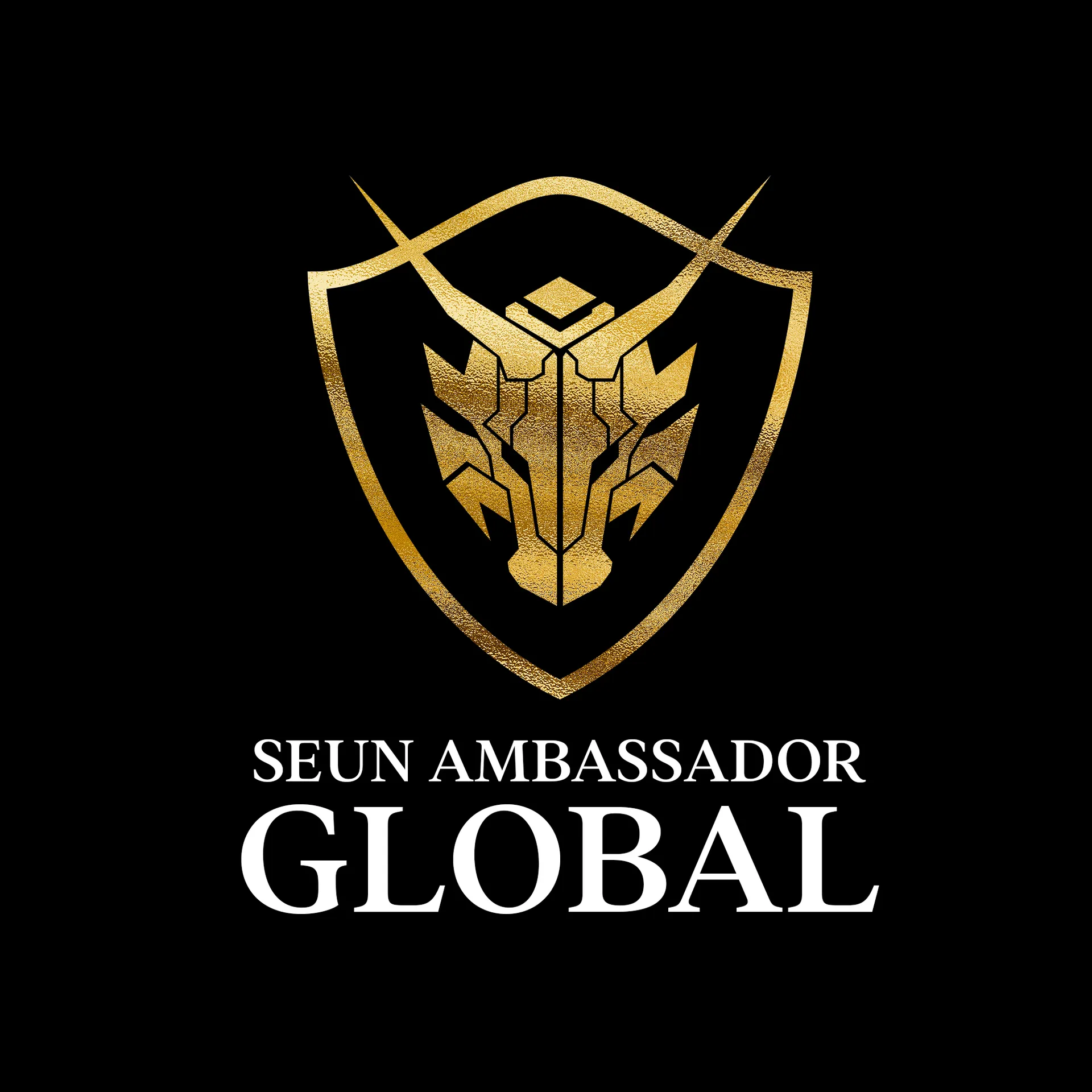 Seun Ambassador Global Ltd.
