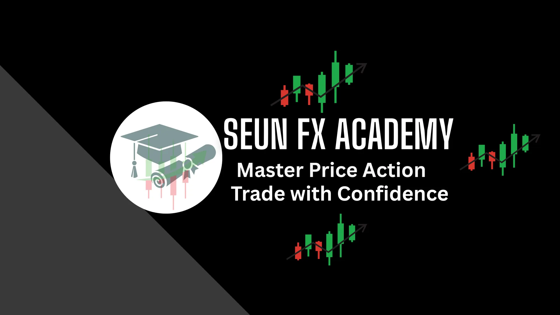 Seun FX Academy