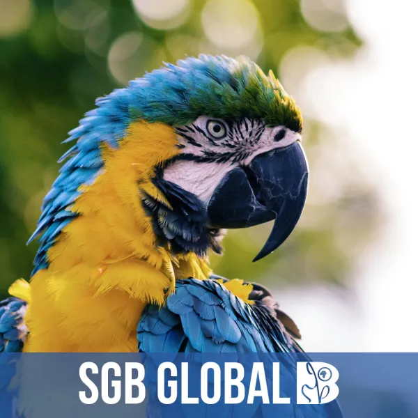 SGBGlobal logo