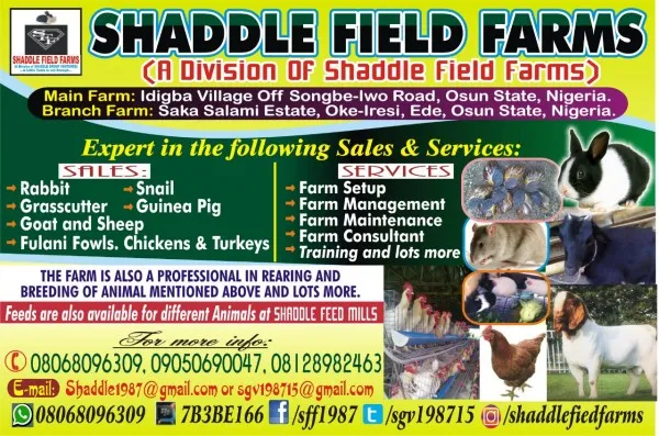 Shaddle Field Farms