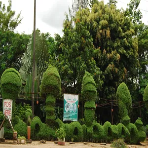 Sharon Roses Horticulture Limited, Abuja logo