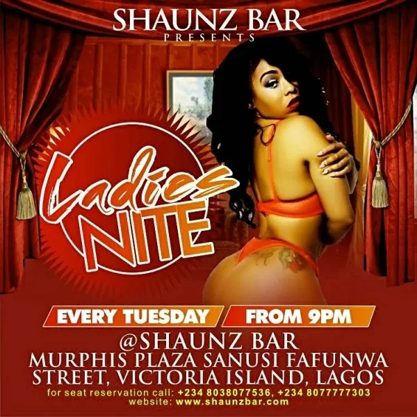 Shaunz Nigeria Limited logo