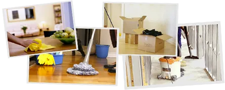 Signorbill Cleaning and Fumigation Services logo