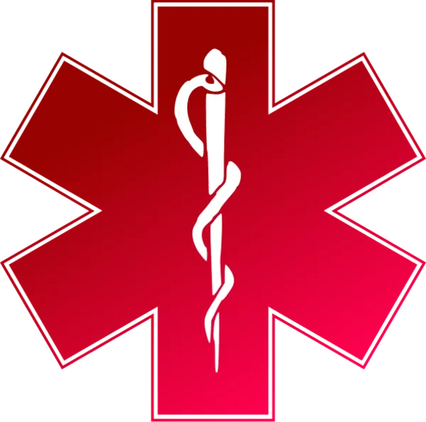 Smart Health-care Link logo