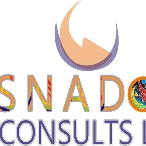 Snadon Consults