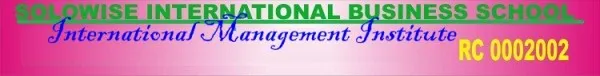 Solowise International Business School logo