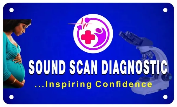 Sound-scan services LTD logo