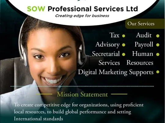 Sow Professional Services Ltd