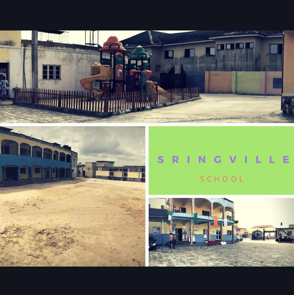 Springville Nursery, Primary and Secondary School