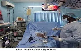 Standard Care Hospitality And Maternity