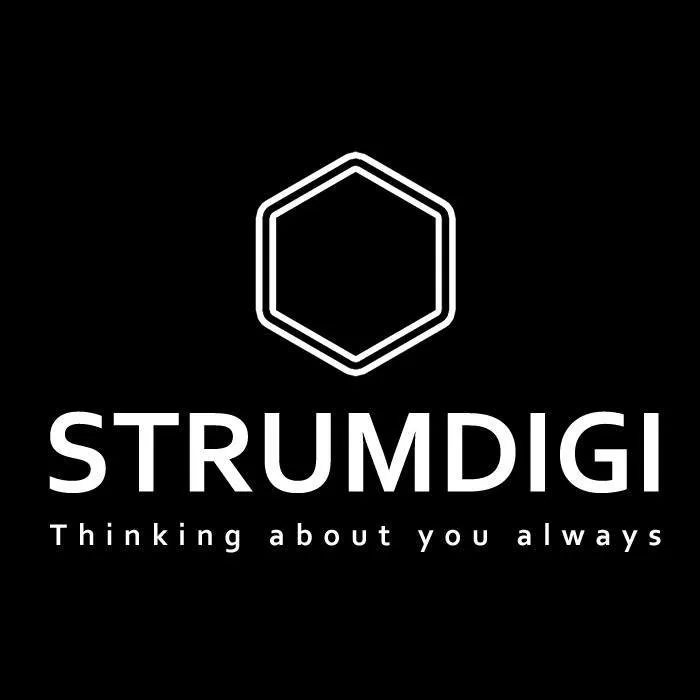 Strumdigi