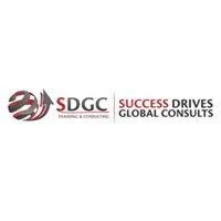 Succeess Drives Global Consult.