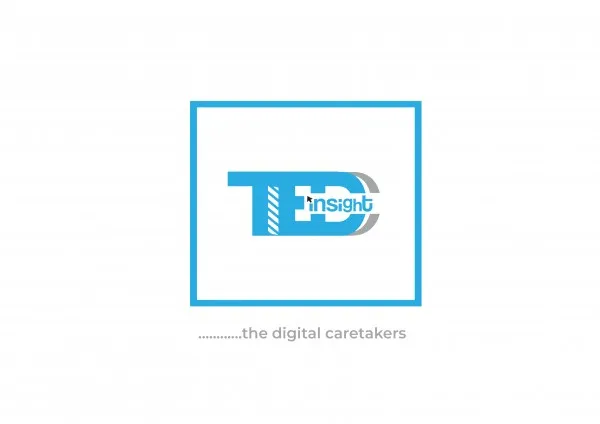 Teddinsight Agency logo