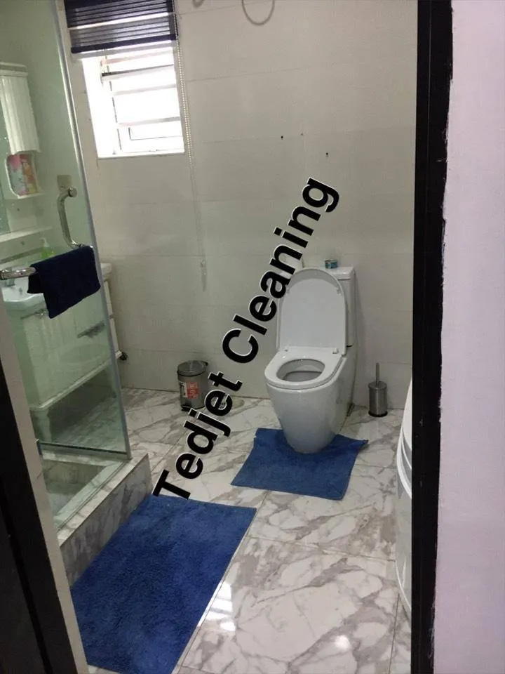 Tedjet Cleaning And Fumigation Services