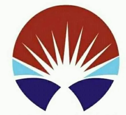 Temmy Gold Shoes company logo