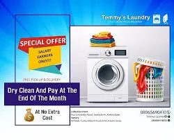 Temmys Laundry