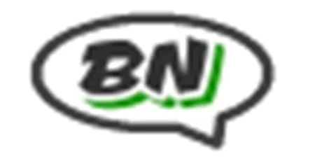 The Bestnaija logo