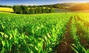 The Kwara Food and Agriculture Business Growth Enhancement Programme
