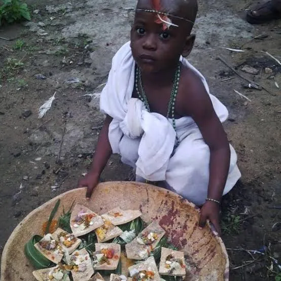 The most real powerful herbalist and native doctor logo