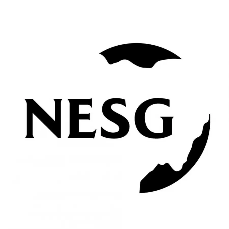 The Nigerian Economic Summit Group Ltd/Gte