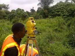The Nigerian Institute of Surveyors