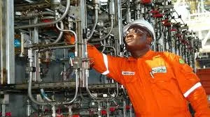 The Nigerian Society Of Engineers(Omoku)