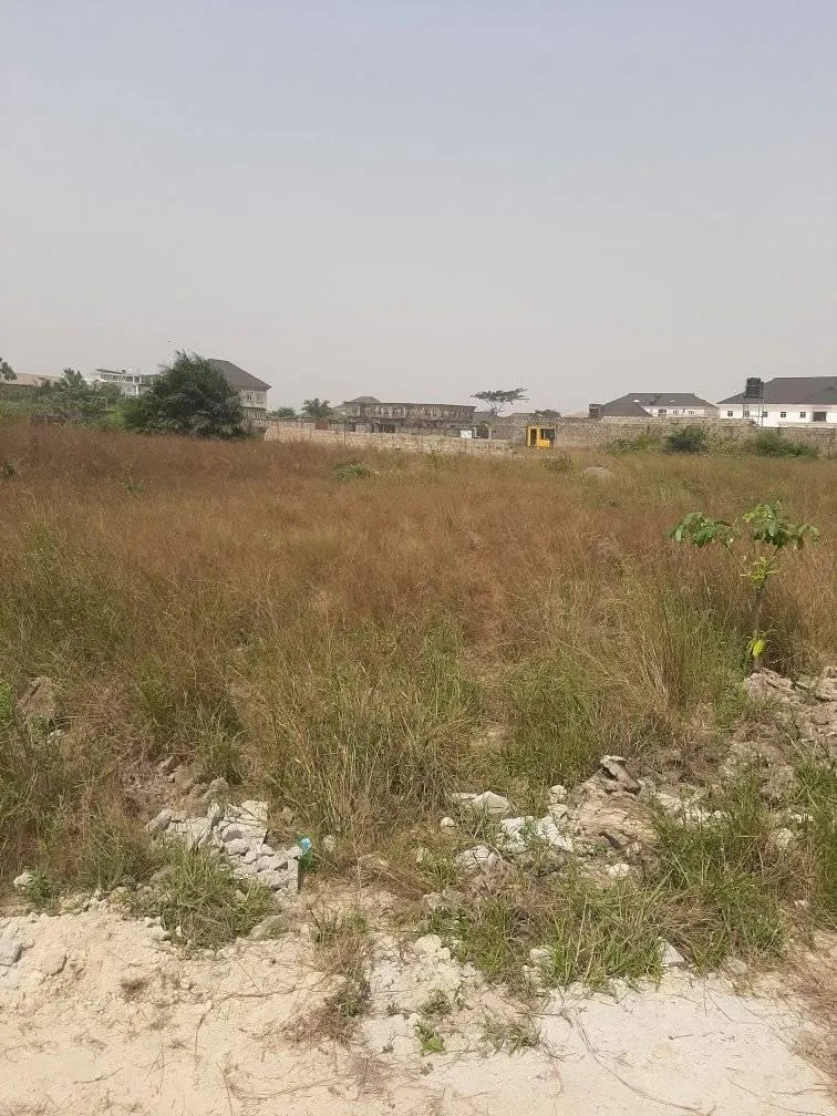 ThreeCo Construction Company {ikoyi}