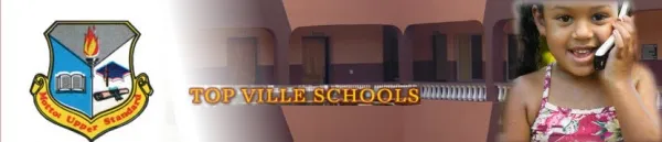 Topville Private School