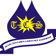 Toydam Children School (Lagos)