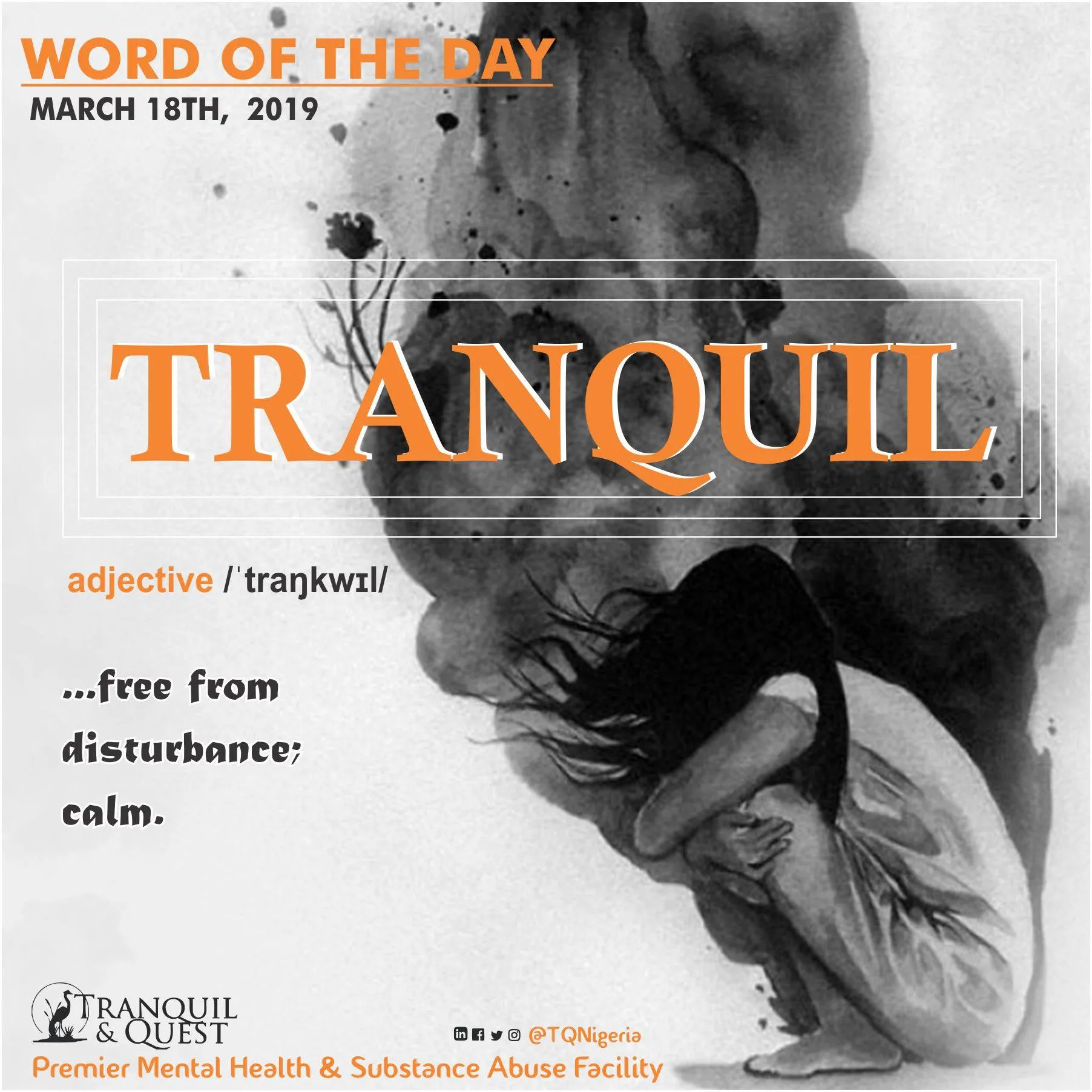 Tranquil And Quest Behavioural Health Care Centre Ltd