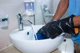 TrueBlue Cleaning Services