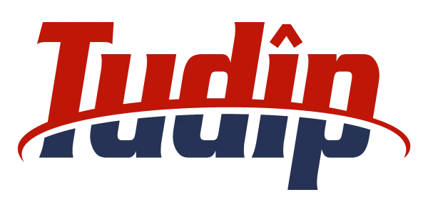 Tudip Technologies logo