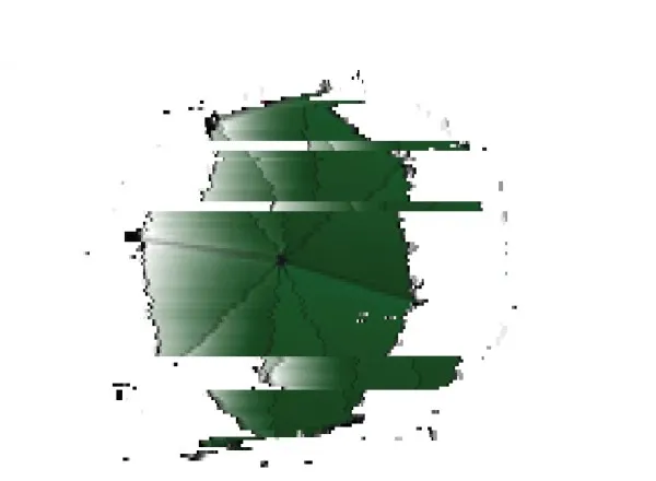 Umbrella Designs Limited