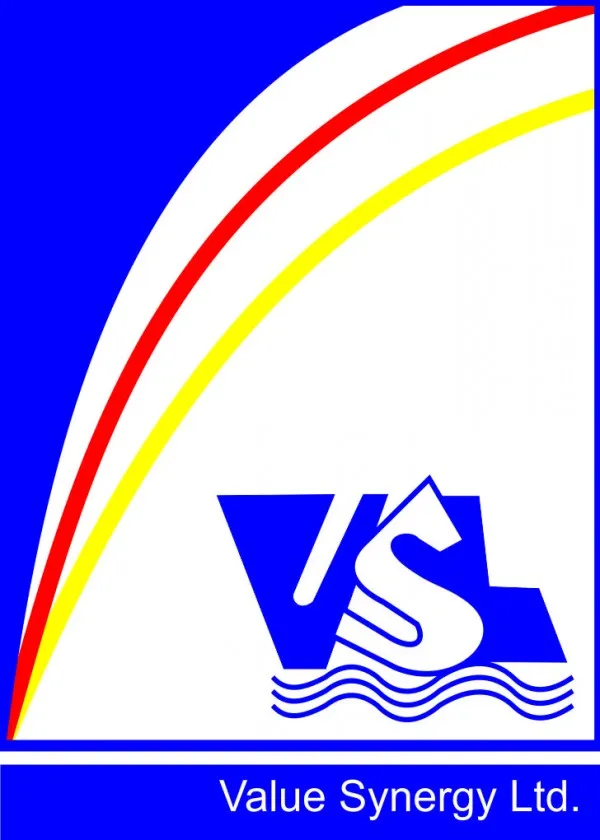 Value Synergy Ltd logo