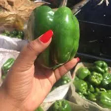 Veggie_Errands