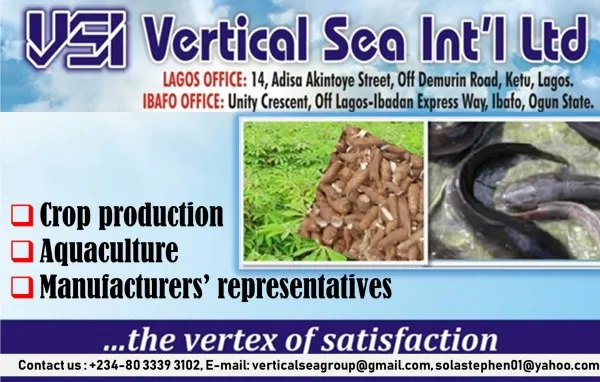 Vertical Sea International Limited