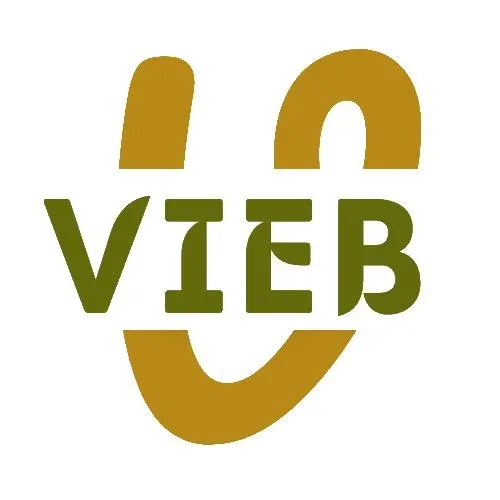 Vieb Stitches