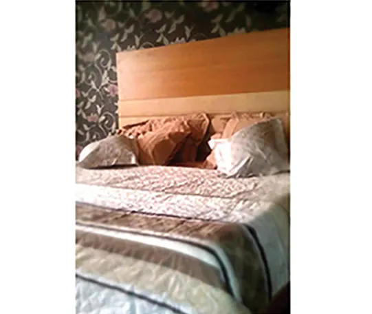 Vina Furniture And Interior {KANO}