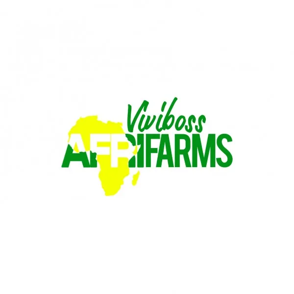 Viviboss Global Links Nigeria Limited