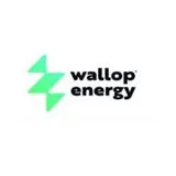 Wallop Energy