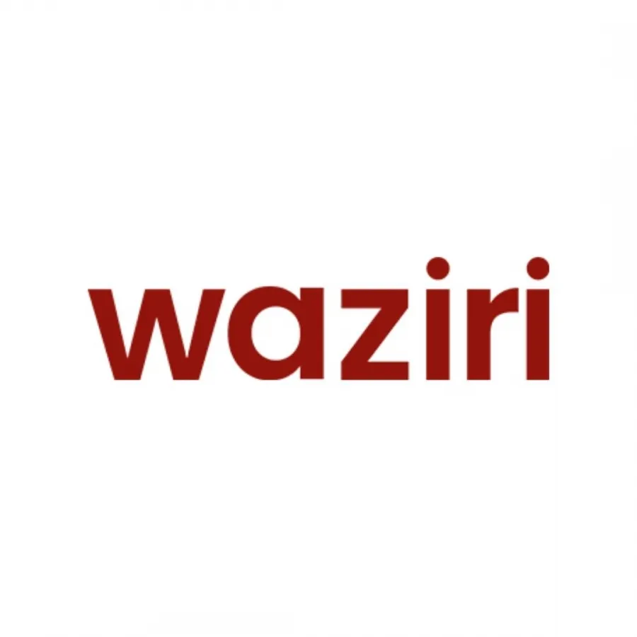 Waziri Ecommerce Ltd logo
