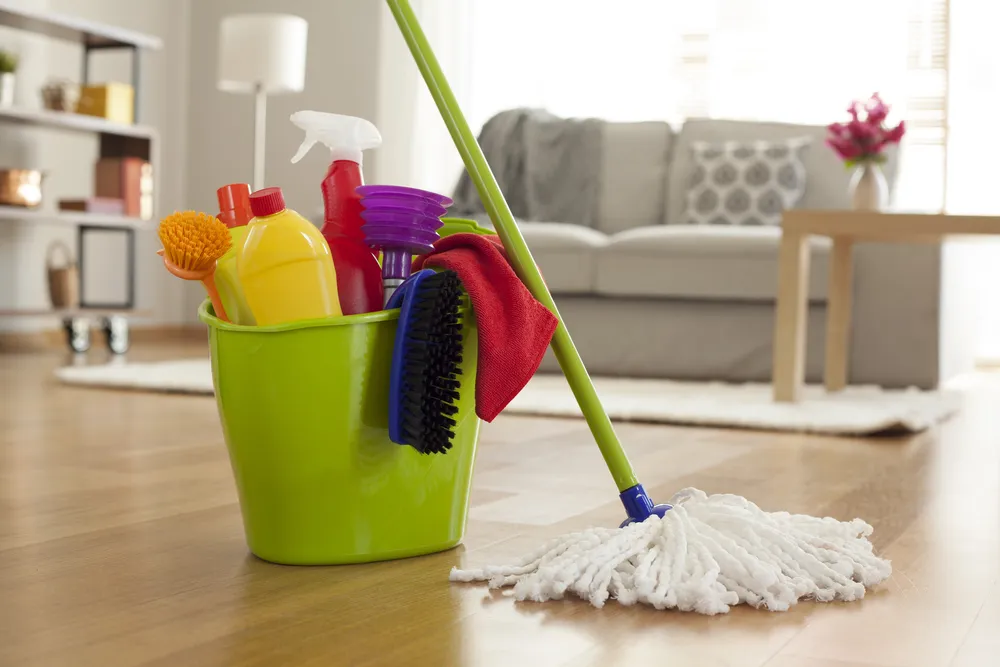 Wealth Light Cleaning Services
