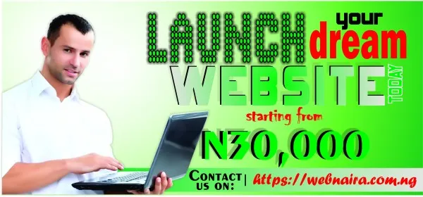 WebNaira Hosting Solutions logo