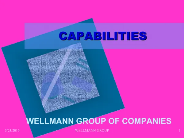 Wellmann Group