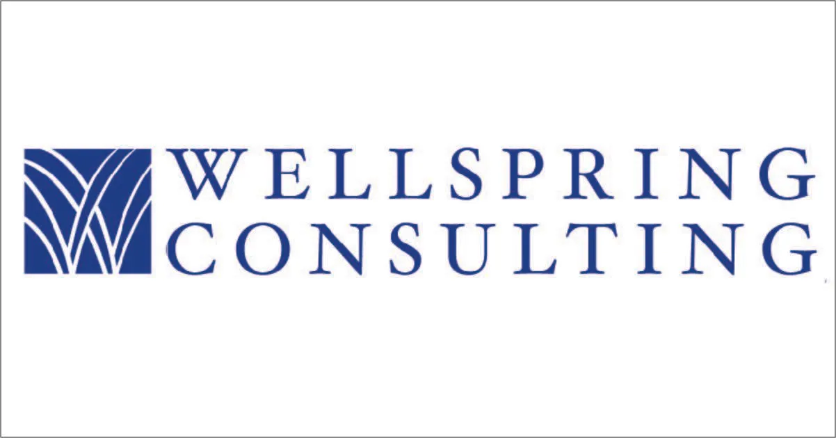 Wellsprings Management Consult