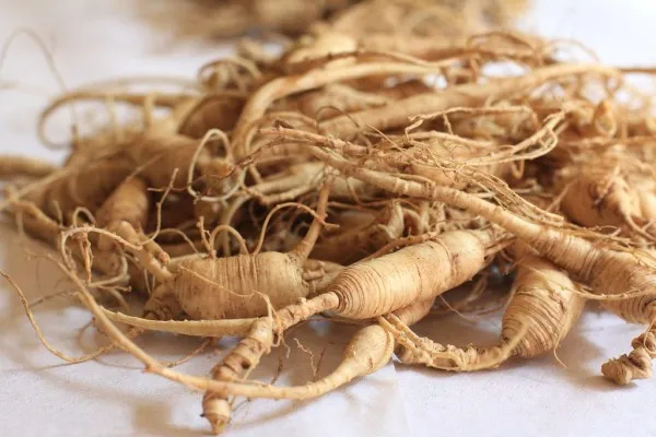 Wild ginseng and insect sellers