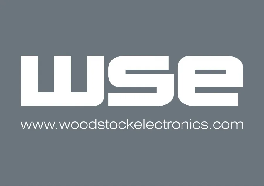 WSE Limited logo