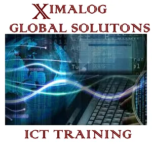 Ximalog Global Solutions logo